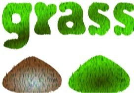 grass in a larger image