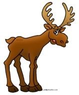 Moose Black And White Panda Free Images N2