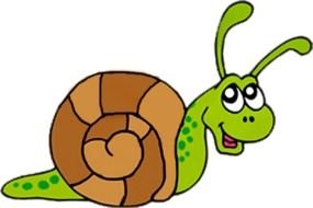 drawing of a green snail on a white background