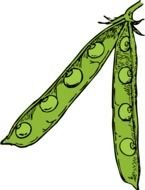 Free Green Peas drawing