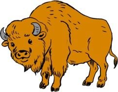 Clipart of brown buffalo