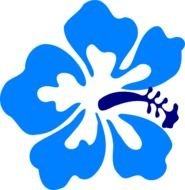 blue flower with dark blue stamens