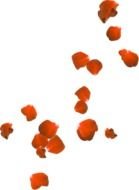 Rose red Petals drawing