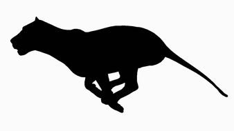 black silhouette of a running leopard