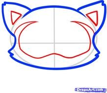 Raccoon Face Drawing