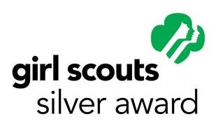 Girl Scout Silver Award, banner