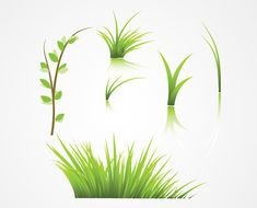 Grass Vector For Pinterest
