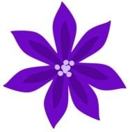 Purple Lily flower drawing