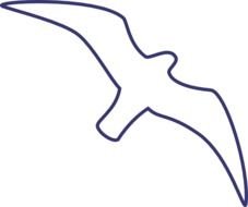 seagull as a blue outline