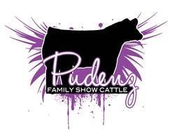 pudeng Show Cattle drawing