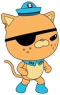 drawing of pirate cat