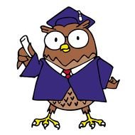 the learned owl drawing