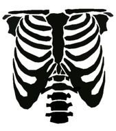Rib Cage Stencil Cut Out Fall Decor Pinterest