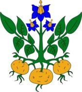 painted growing potatoes