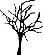leafless tree silhouette