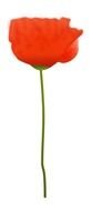 painted red poppy on a thin stalk