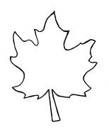 Black and white drawing of the oak leaf clipart