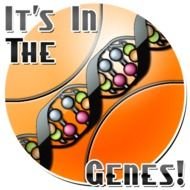 Wp Images Post 4