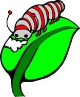 Caterpillar On A Leaf Panda Free Images