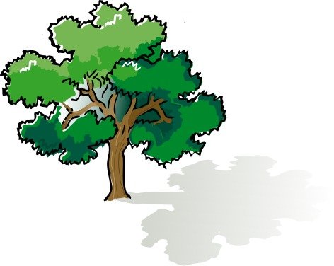 Oak Tree Panda Free Images N2