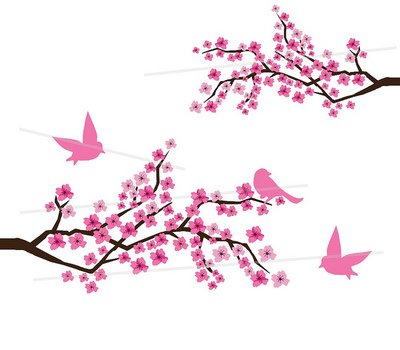 Pink Cherry Blossom Branches And Birds Flickr Photo Sharing