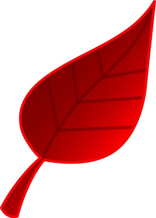 Clipart of the red leaf