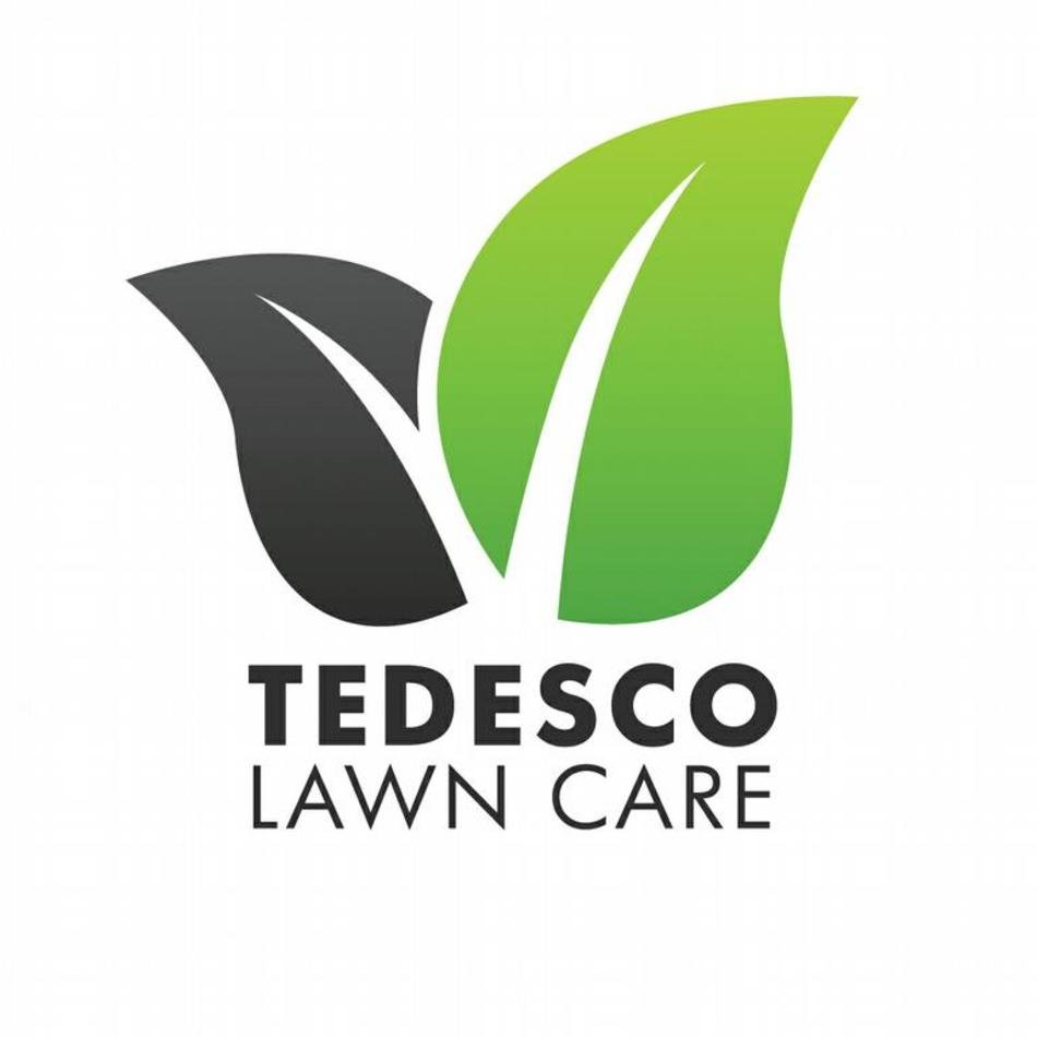Lawn Care Logo By Tedesco