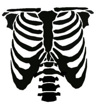 Rib Cage Stencil Cut Out Fall Decor Pinterest