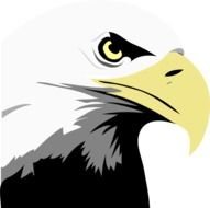 Bald Eagle Head drawing