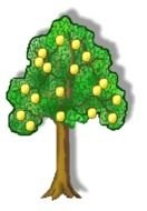 green tree with fruits as a graphic image