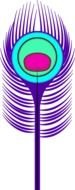 Related Peacock drawing