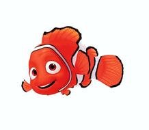 fosh nemo drawing