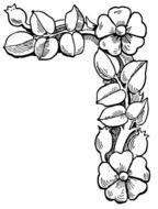 Flower Coloring Pages 2 3