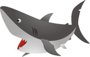 drawn shark with open mouth on a white background