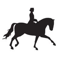 black silhouette of a horsewoman