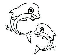 two black and white dolphins as a picture for a clipart