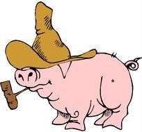 Pig N26