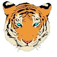 Drawing of Tiger head
