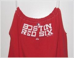 picture of the Boston Red