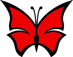 Red Butterfly drawing