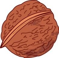 Free Walnut