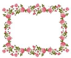 rectangular frame of pink roses