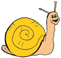 Snails Panda Free Images