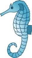 seahorse as a picture for clipart