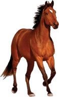 Black running horse clipart
