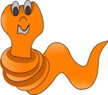 Worm Panda Free Images N2