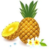 Free Eps Fresh Pineapple Vector Graphic Download