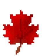 Leaf Of Leaves In Red And Green Brown Gold With