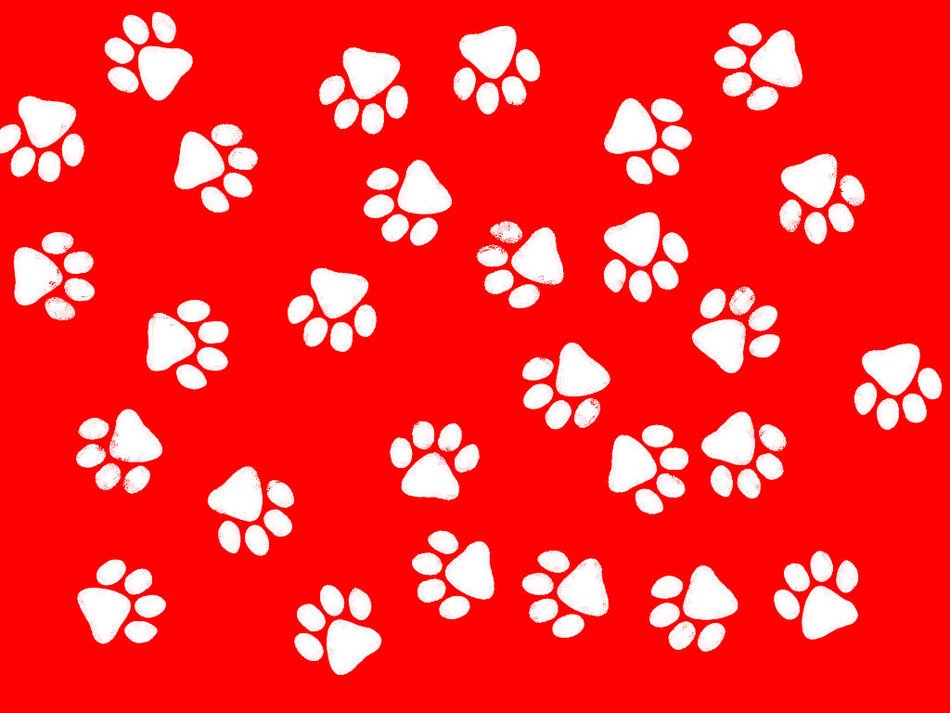 clipart of the white paw prints