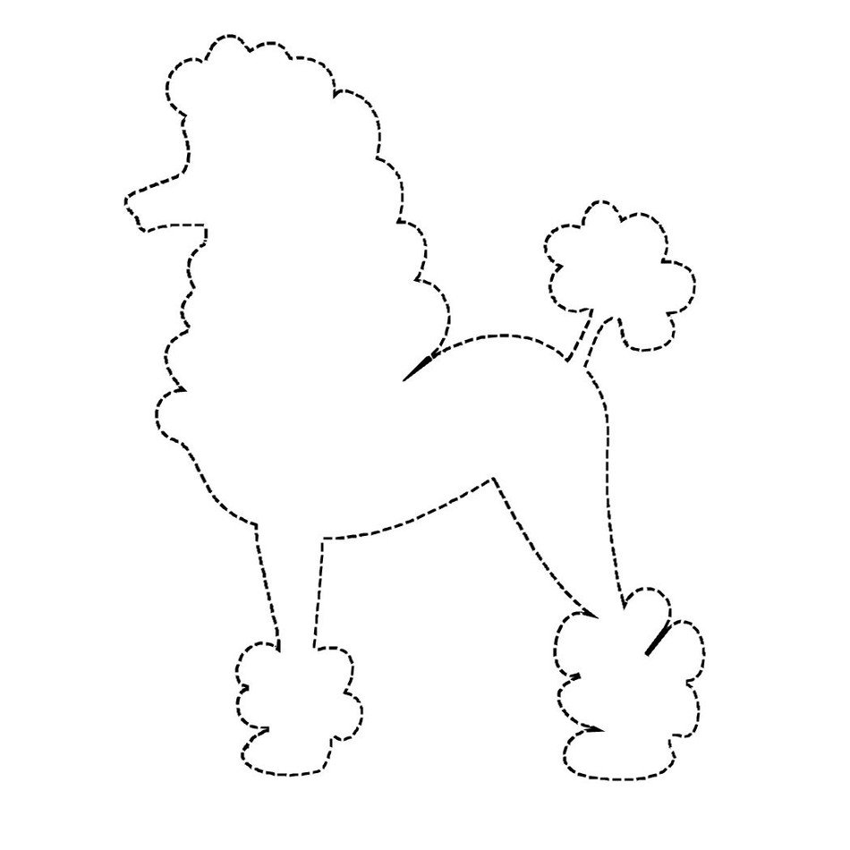 İllustration of the colorless poodle